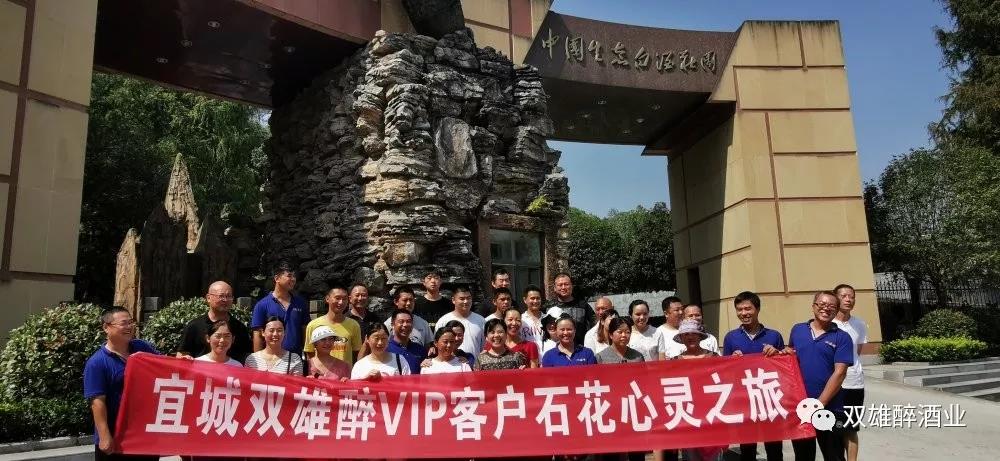 活力四射，宜城客戶的心靈之旅