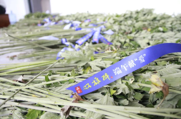 贈你一束“艾”，端午祈安康，雙雄醉端午獻“愛”